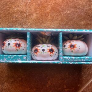 New in Box Dia De Los Muertos Pumpkin/Halloween Succulent Decor